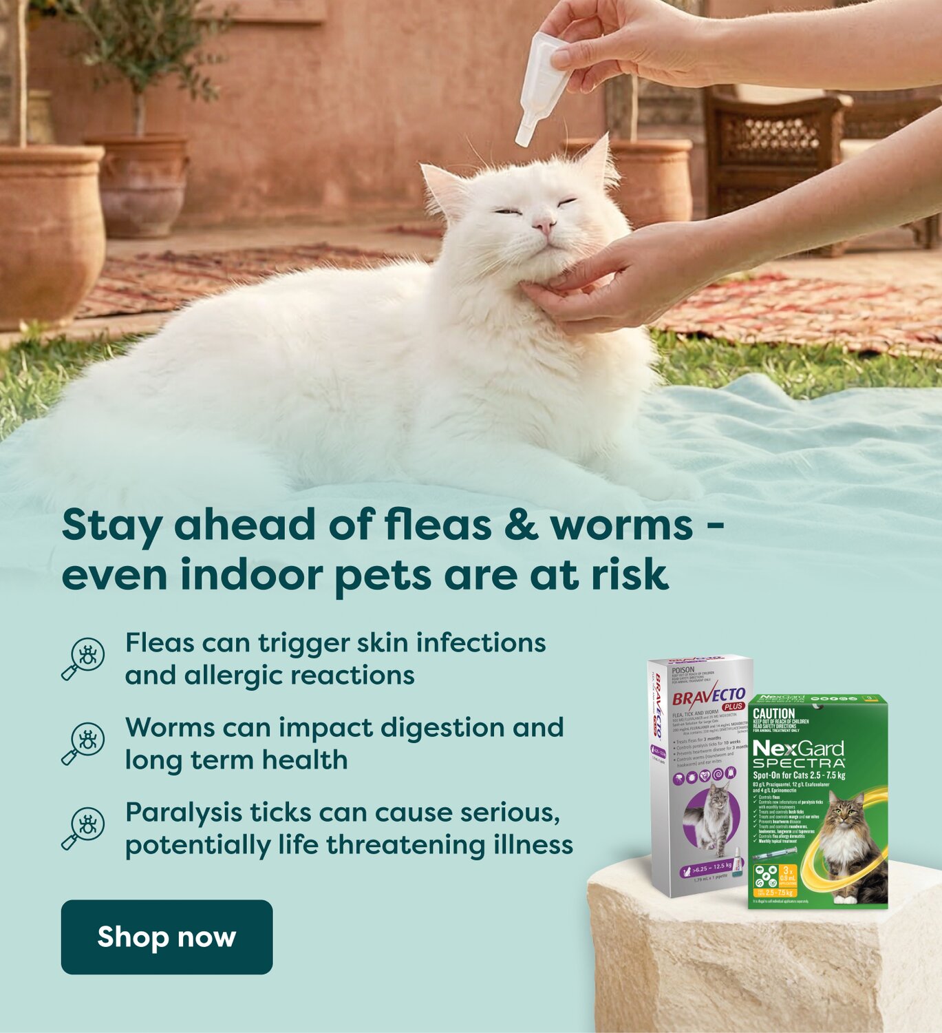 Stay ahead of fleas & worming