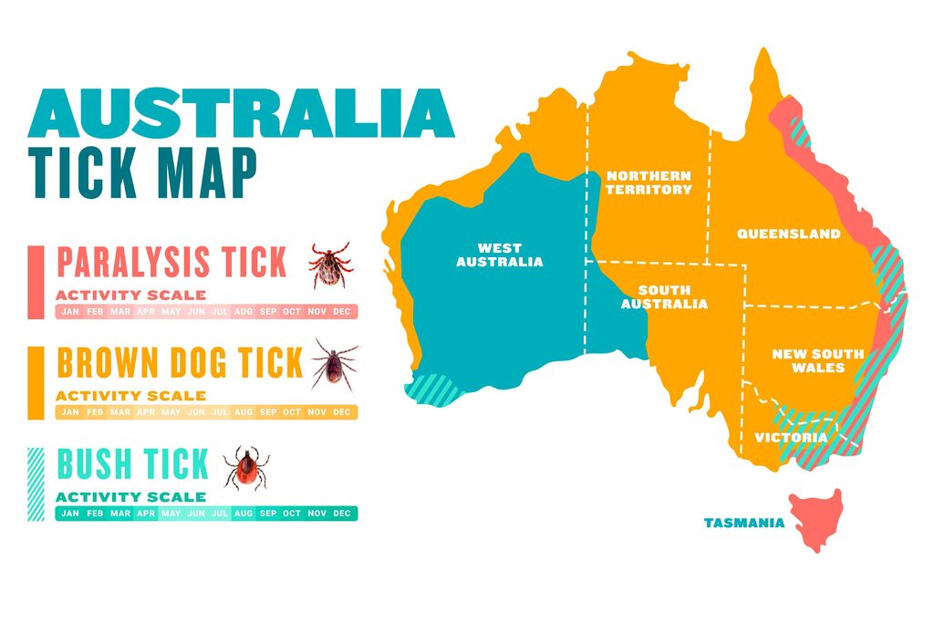 Australian tick map