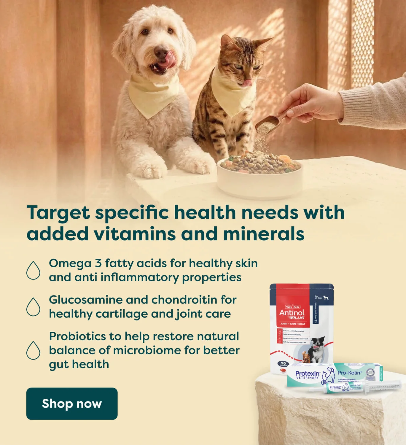 health supplements for pets that target health needs