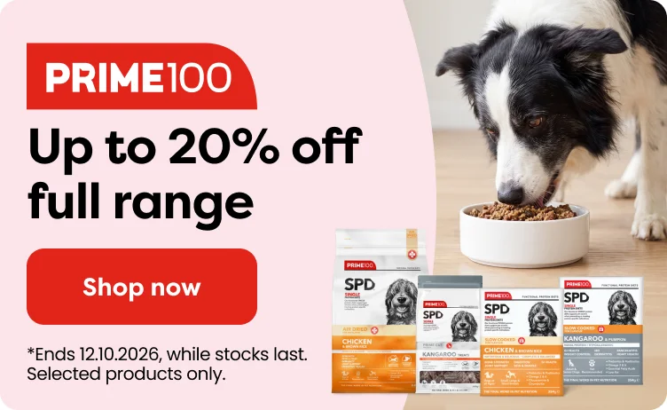 Up to 20% off Prime100