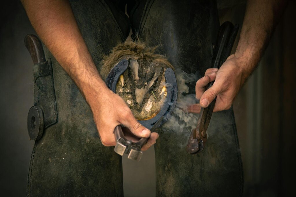 farrier filing horse hoof