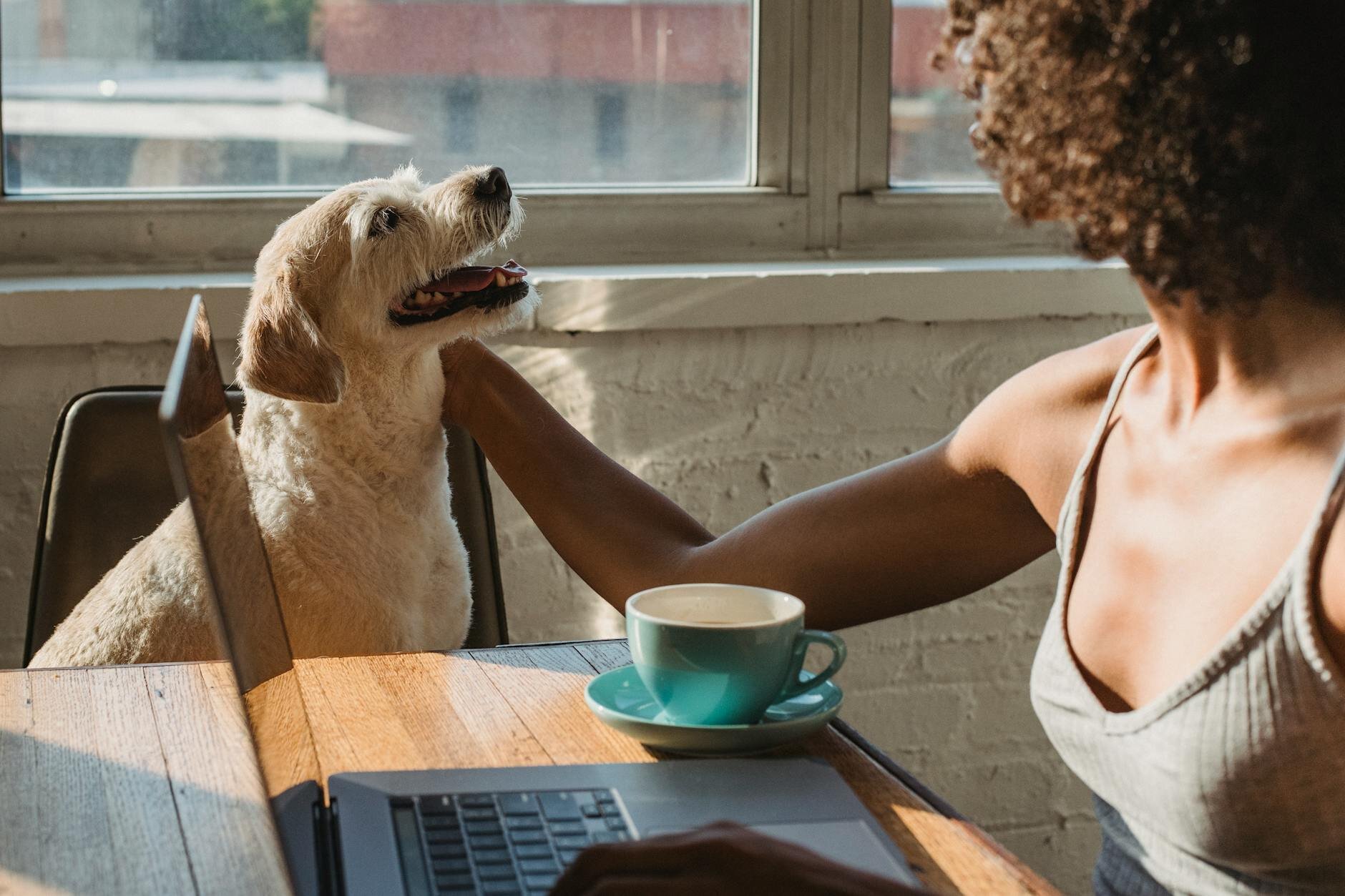 woman patting dog while working at computer