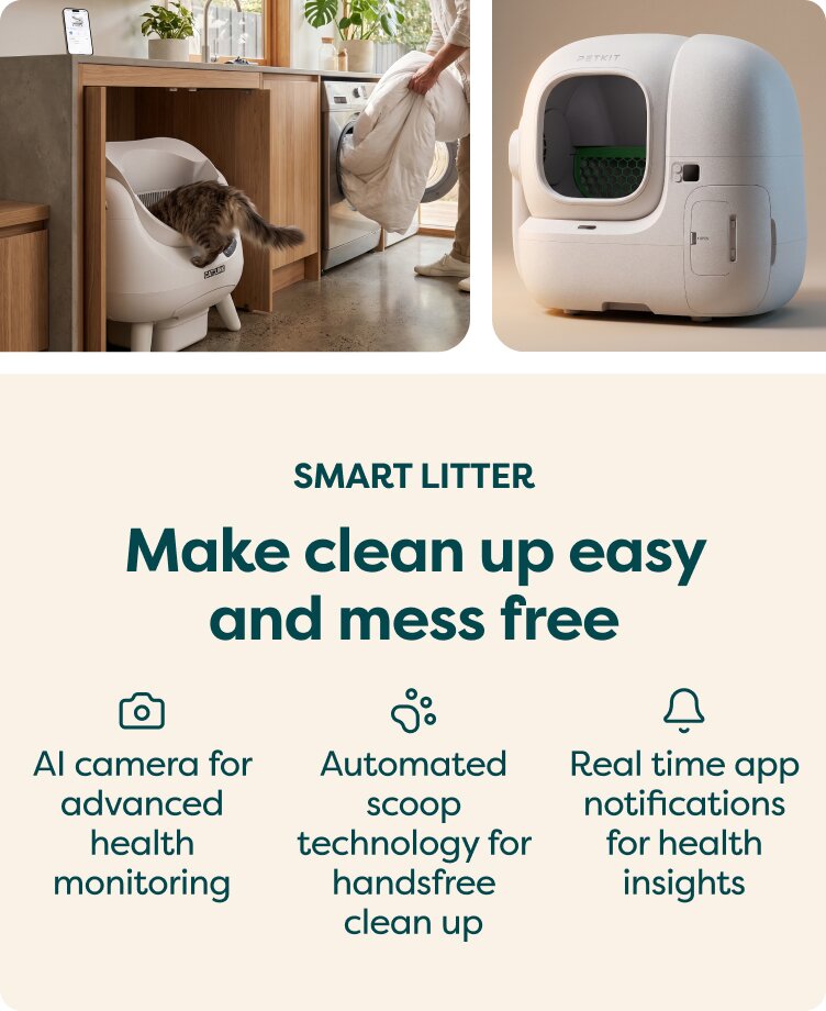Smart litter