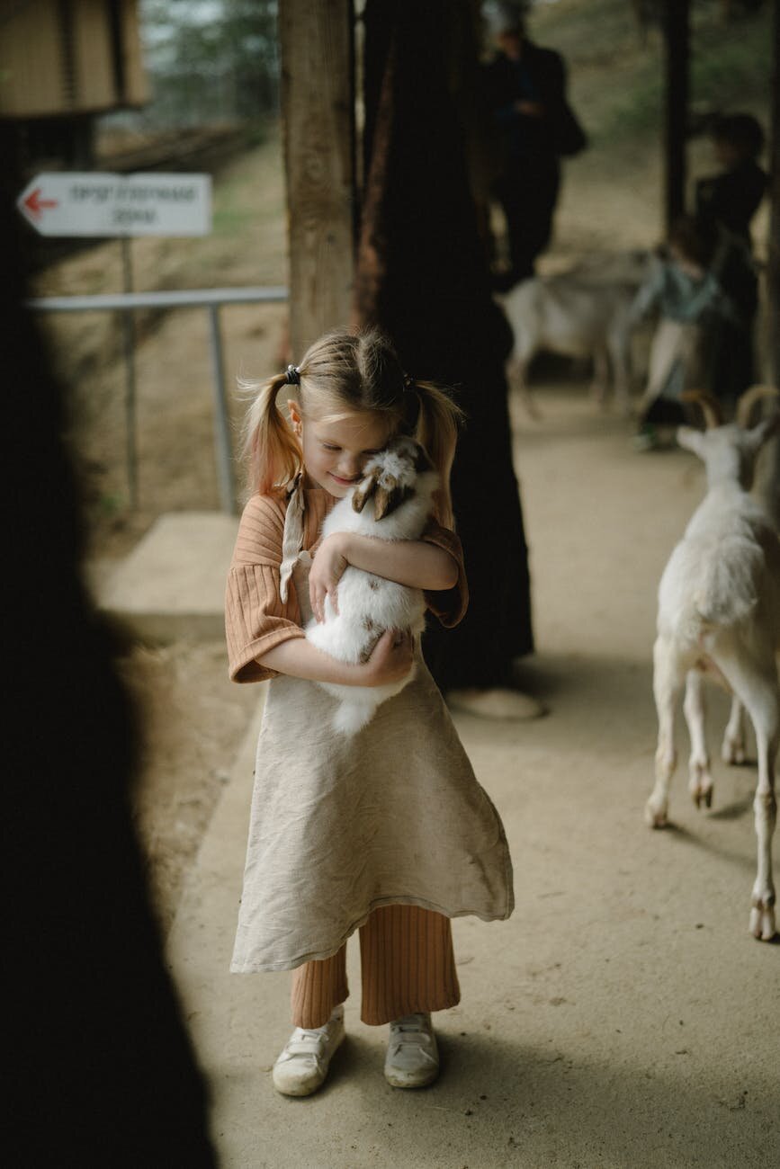 small child holding a rabbit