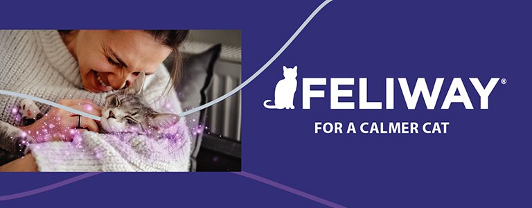 Feliway, for a calmer cat