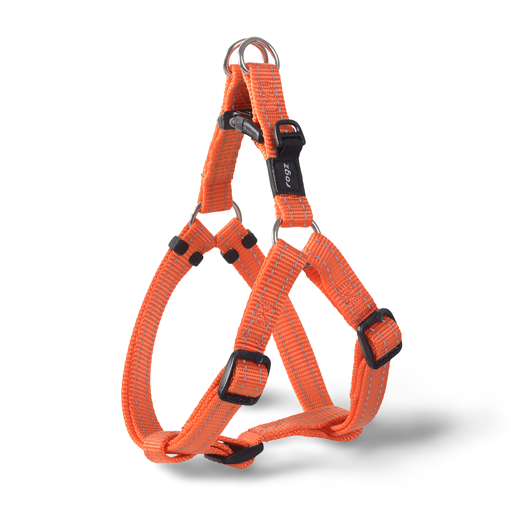 step in harness