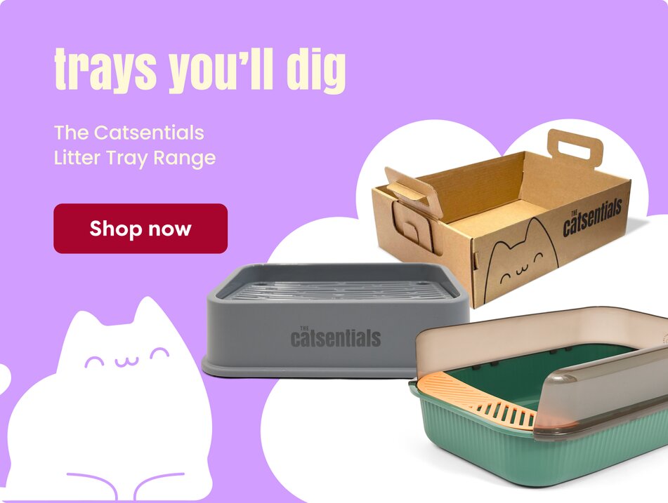 trays you'll dig