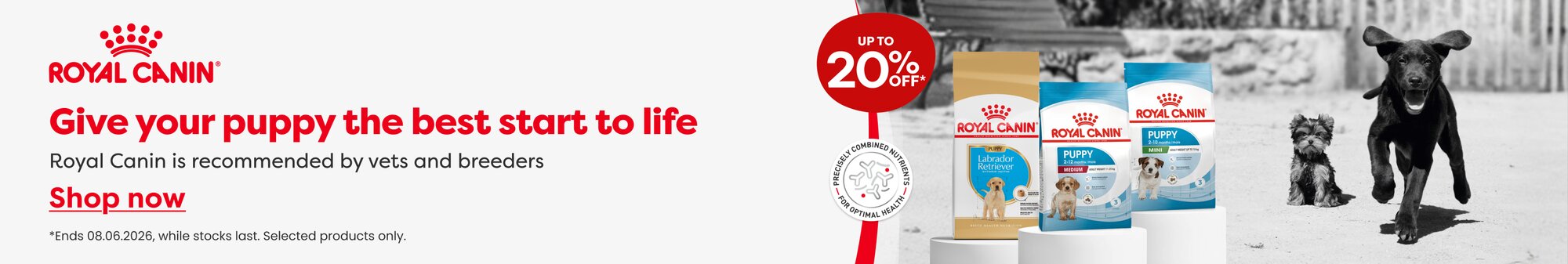 Royal Canin 