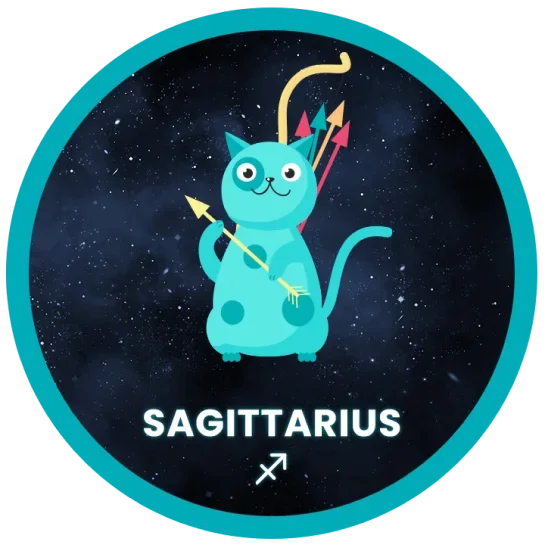 image of Sagittarius zodiac