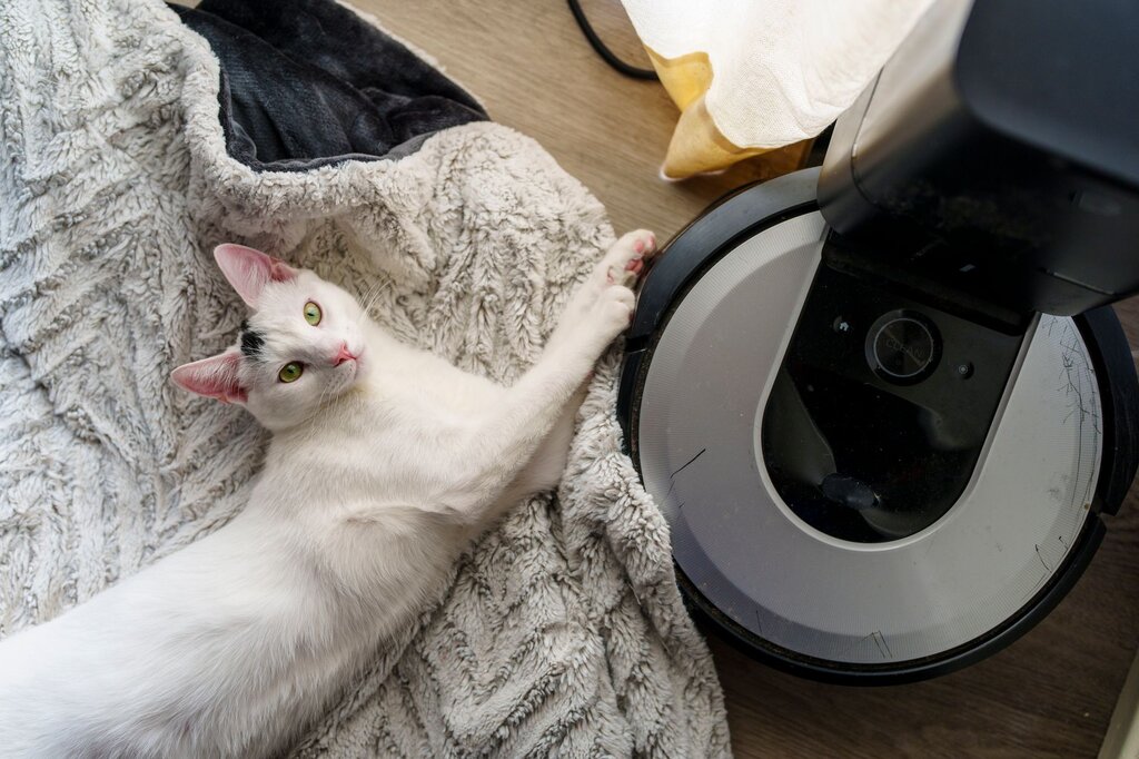 a white cat lying on a blanket next to a robot vacuum