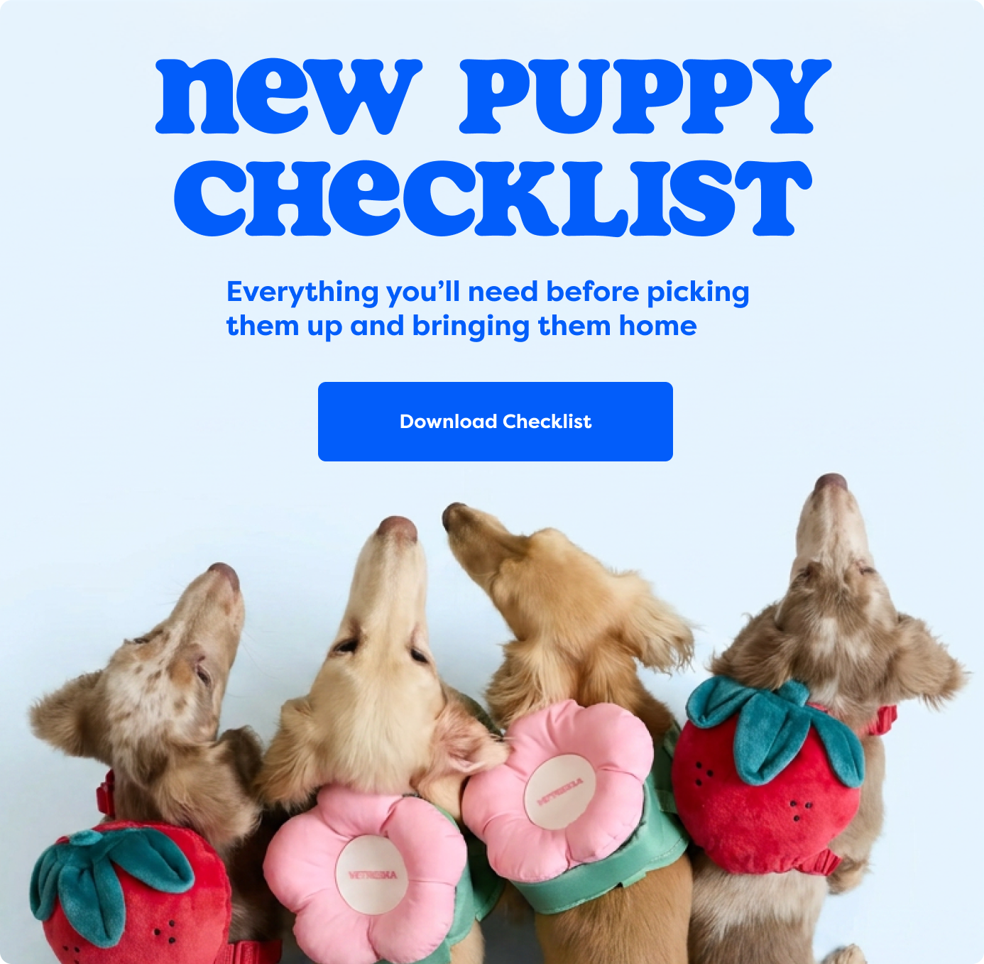 New Puppy checklist