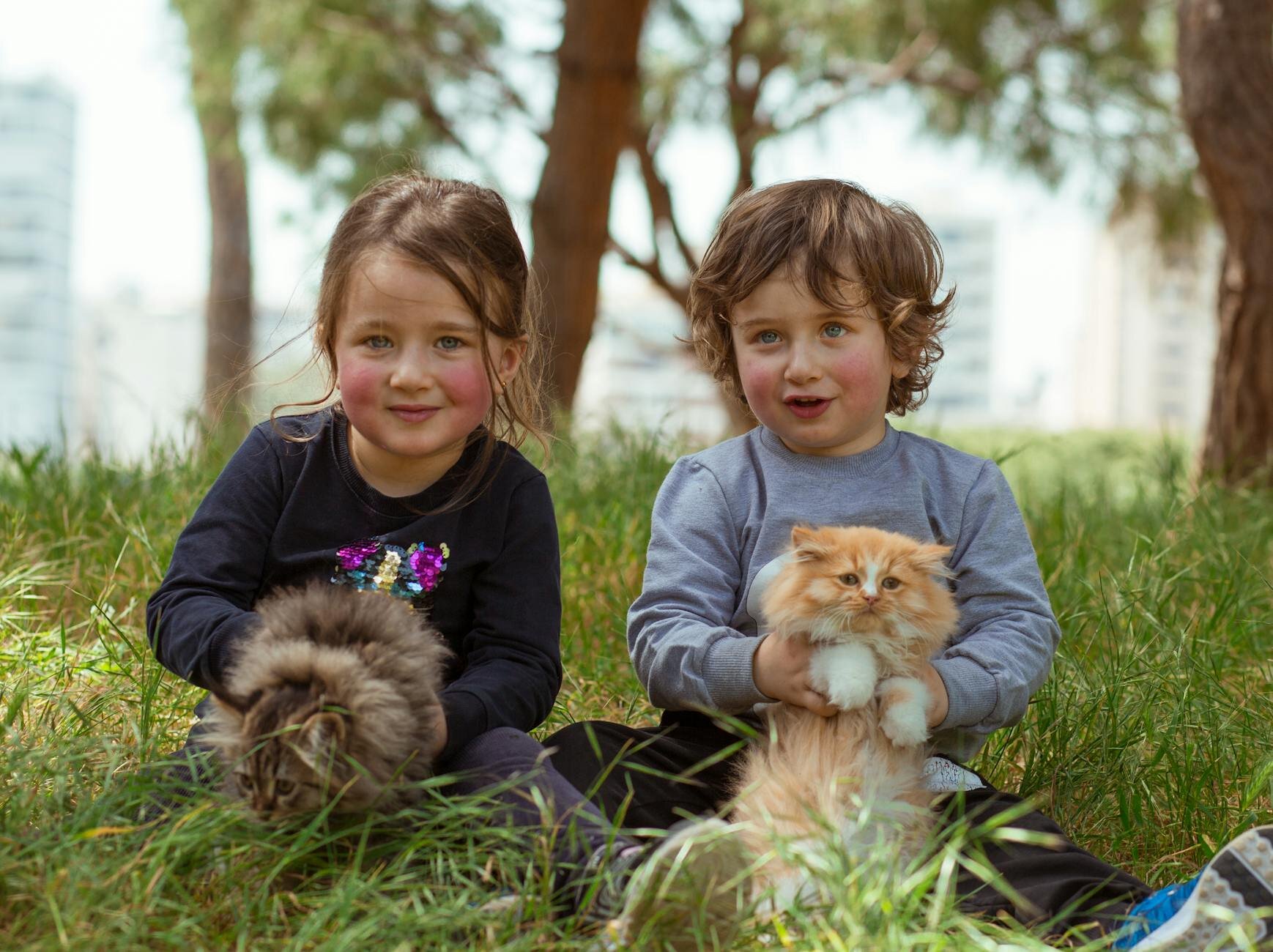 two children sitting on the grass cuddling kittens 