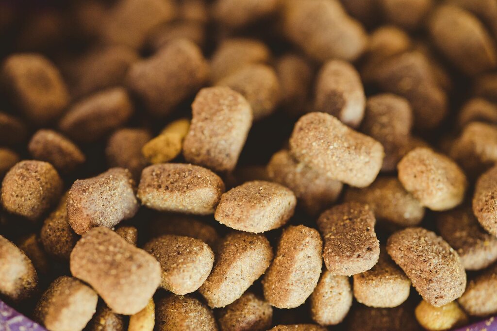 brown kibble biscuits