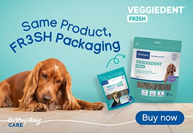 Veggiedent Fresh