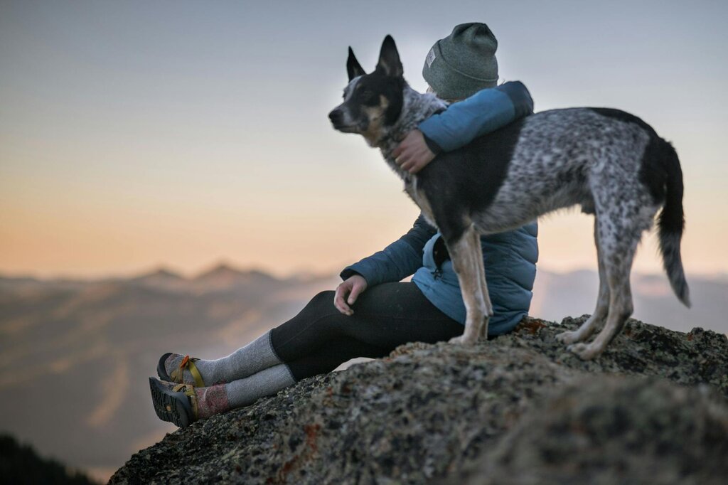 cattle dog being hugged by lady sitting next to him outdoors
