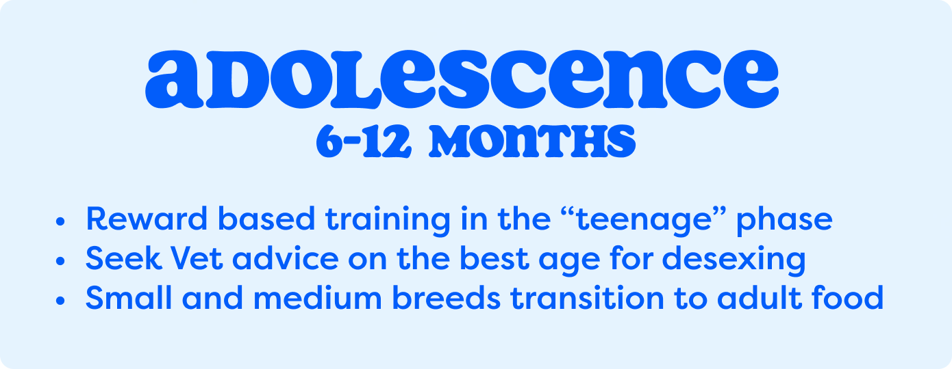 Adolescence 