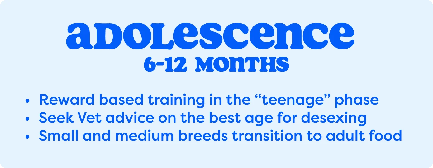 Adolescence 