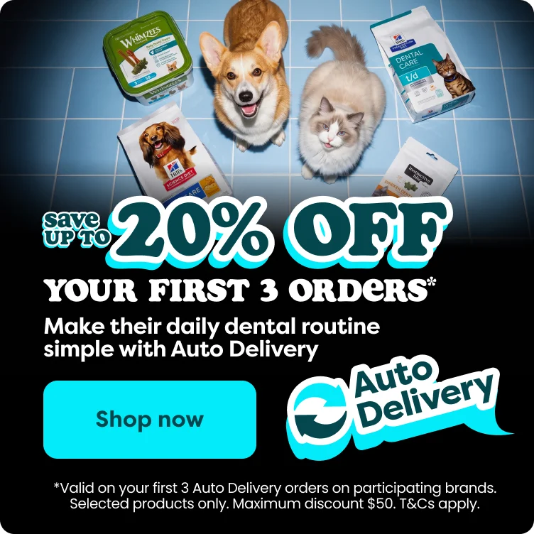 20% off on Auto Delivery