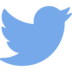 Twitter Logo