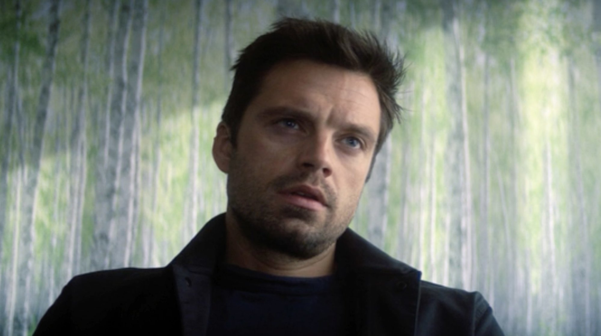 The Falcon and the Winter Soldier, MCU