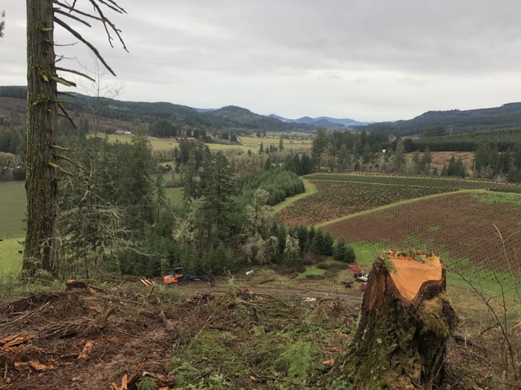 logging ranch