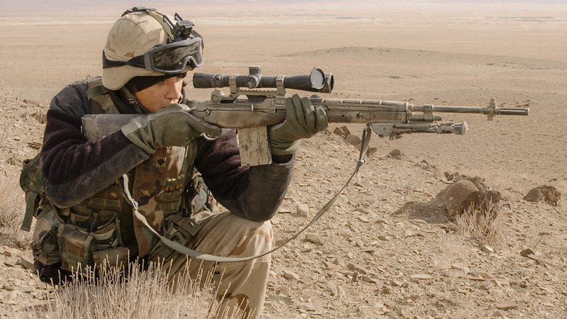 Designated Marksman