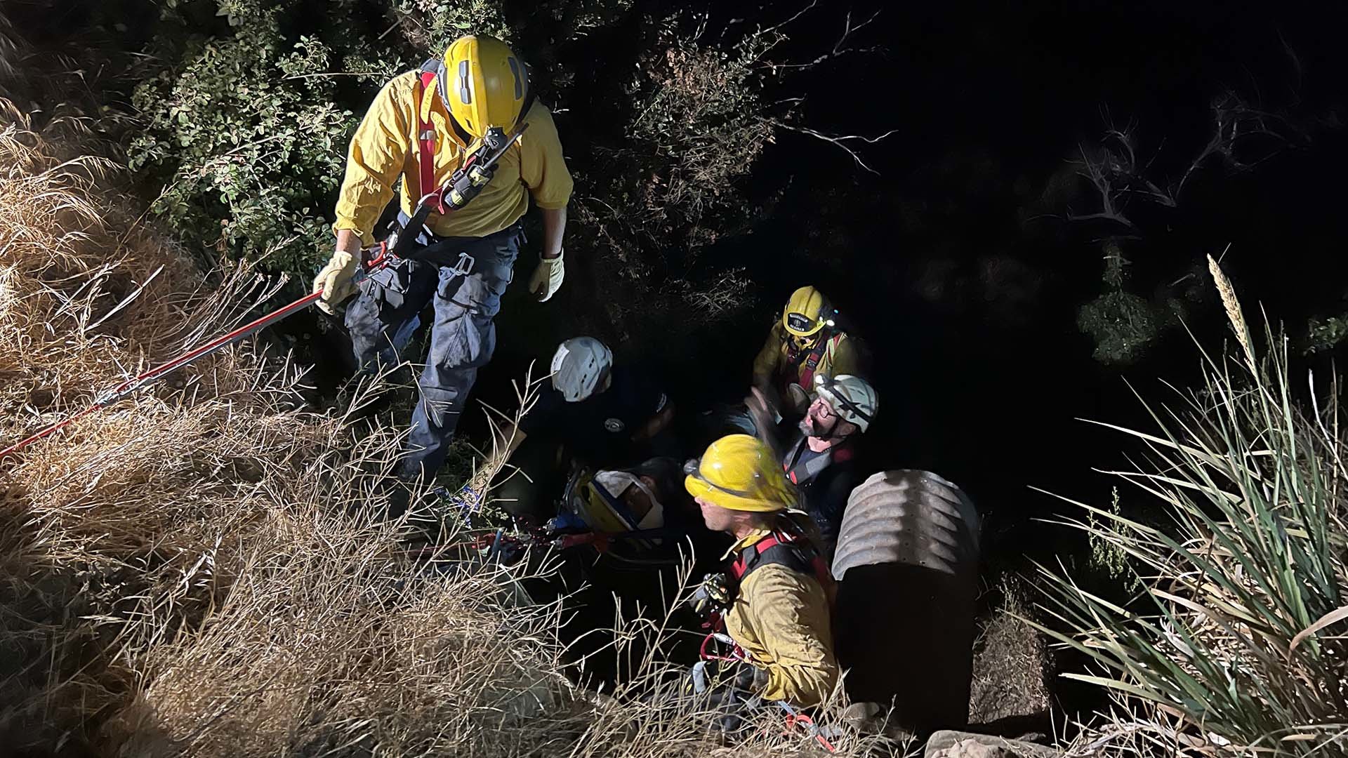 Los Padres National Forest