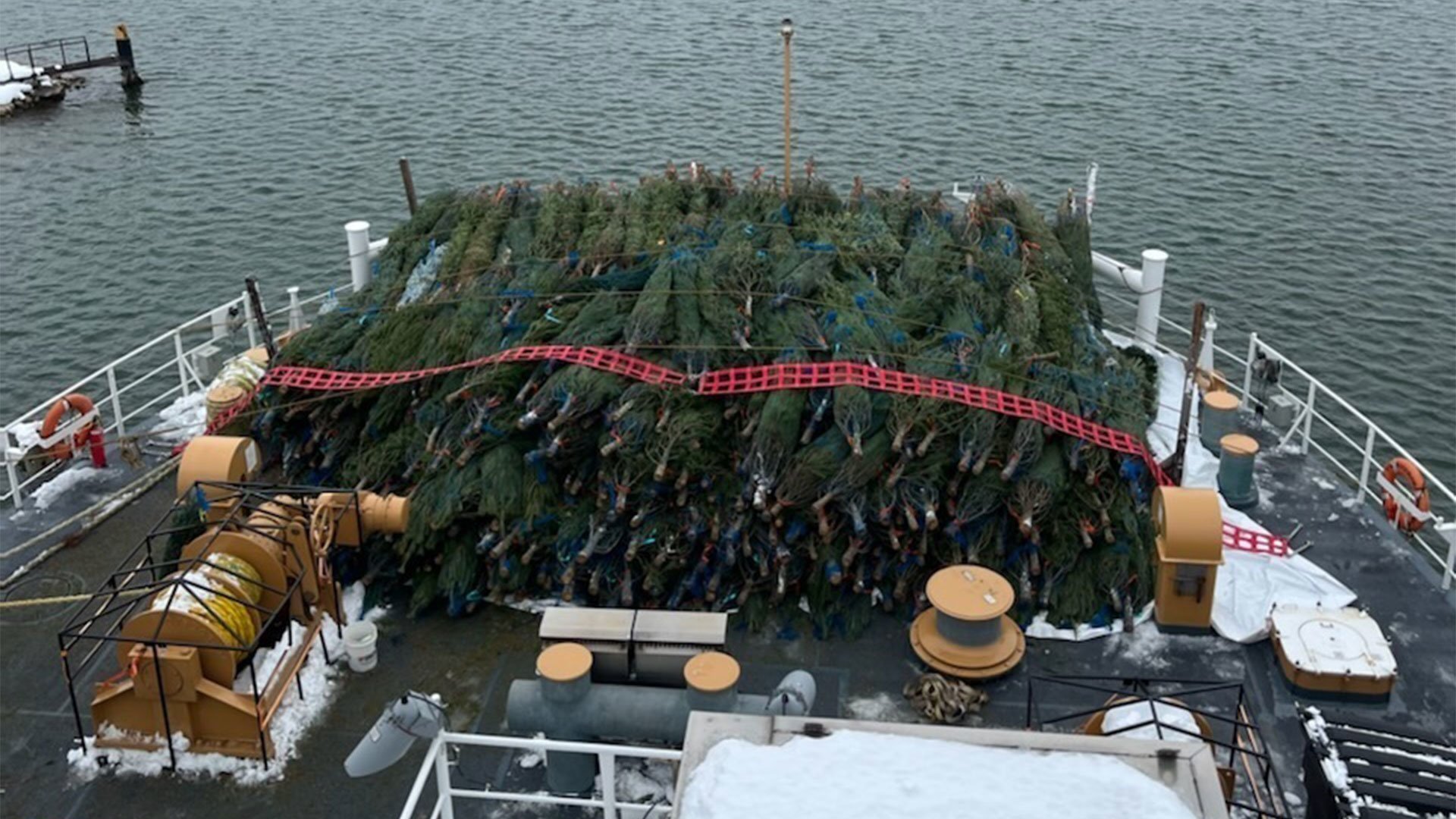 Great Lakes Christmas trees