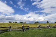 A field near Bloody Lane at Antietam National Battlefield in Sharpsburg, Maryland. Photo courtesy of Wikimedia Commons.