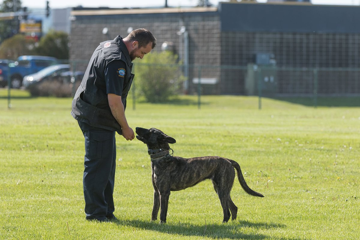 K9 Luna, K-9 Luna, Duluth, Minnesota