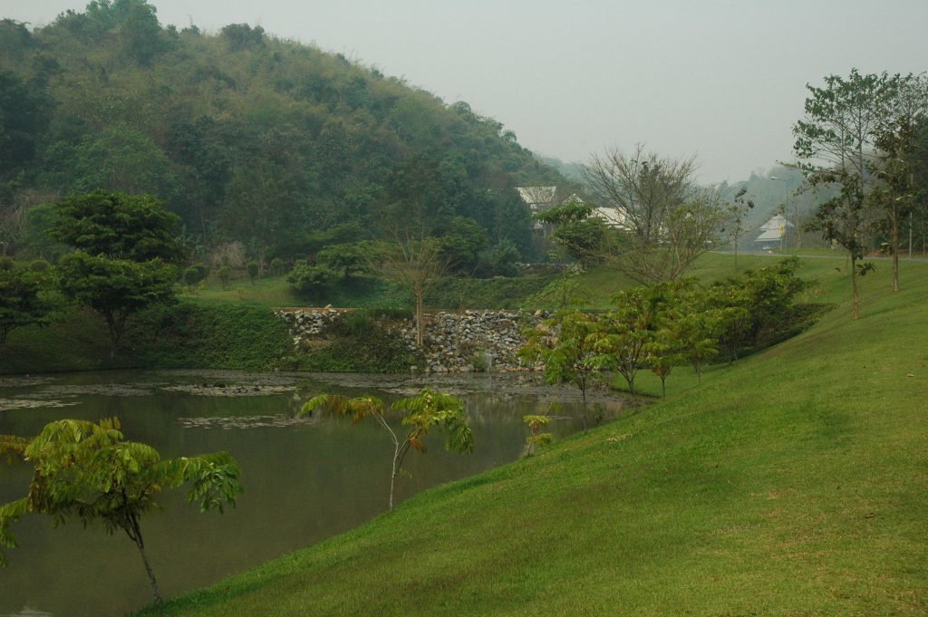 thailand golden triangle coffee