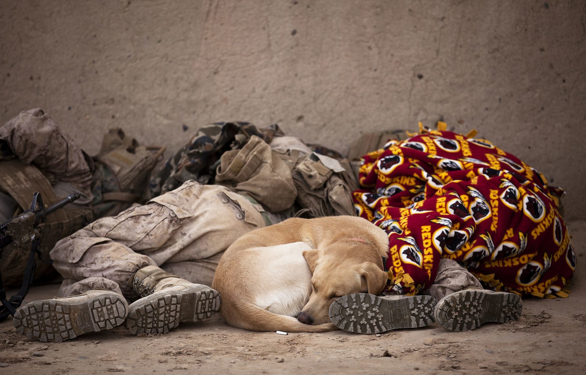 sleeping soldiers