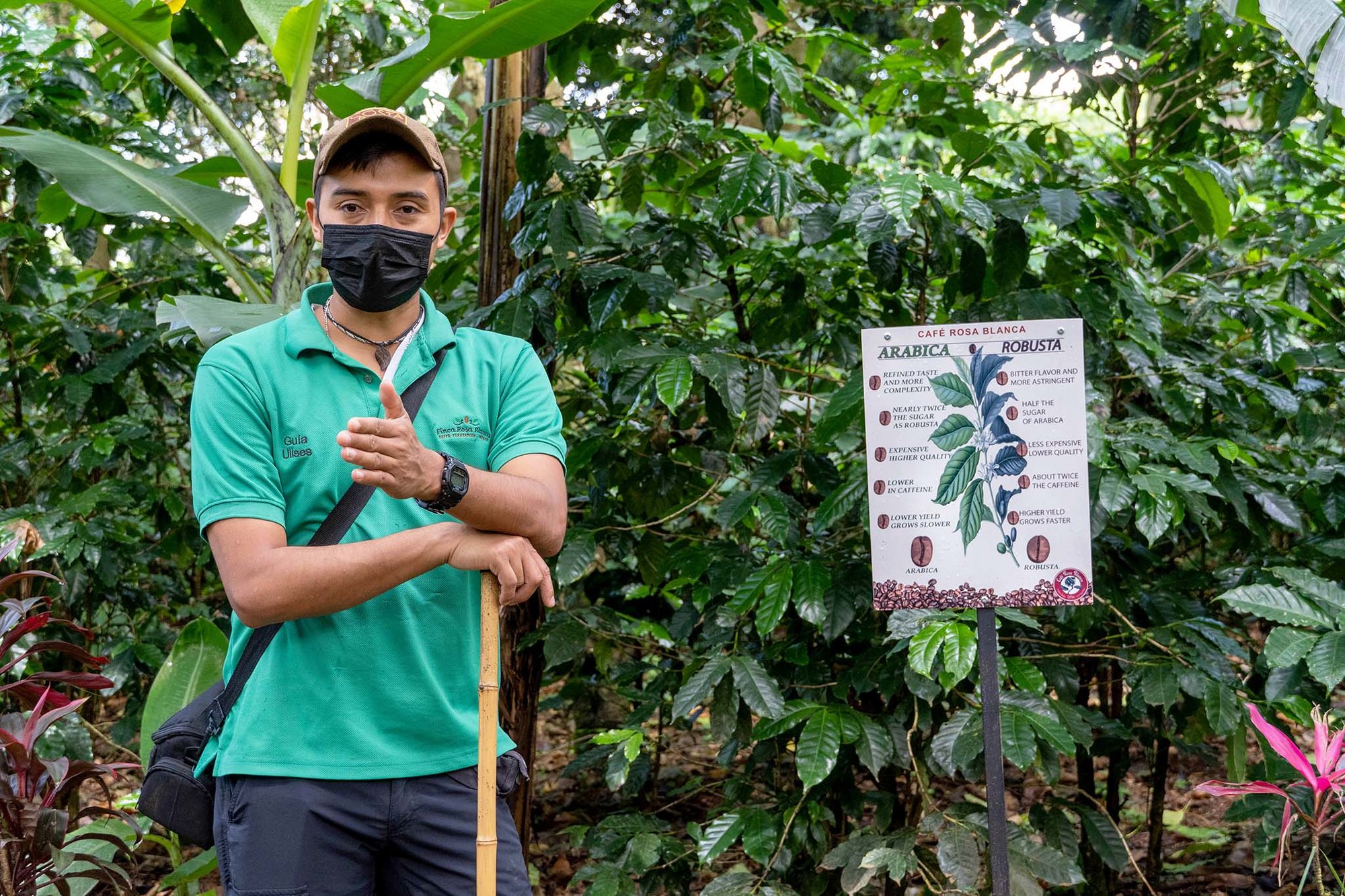Costa Rican coffee farm