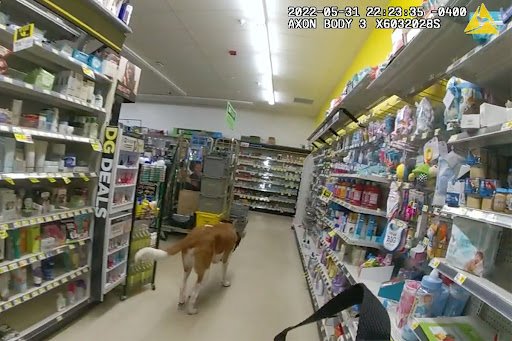 Dollar General