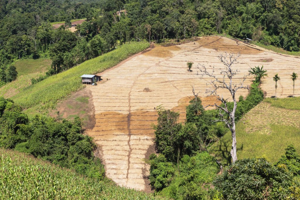 High view over the hills of rainforest with deforestation for farming in northern Thailand. Adobe Stock photo.
