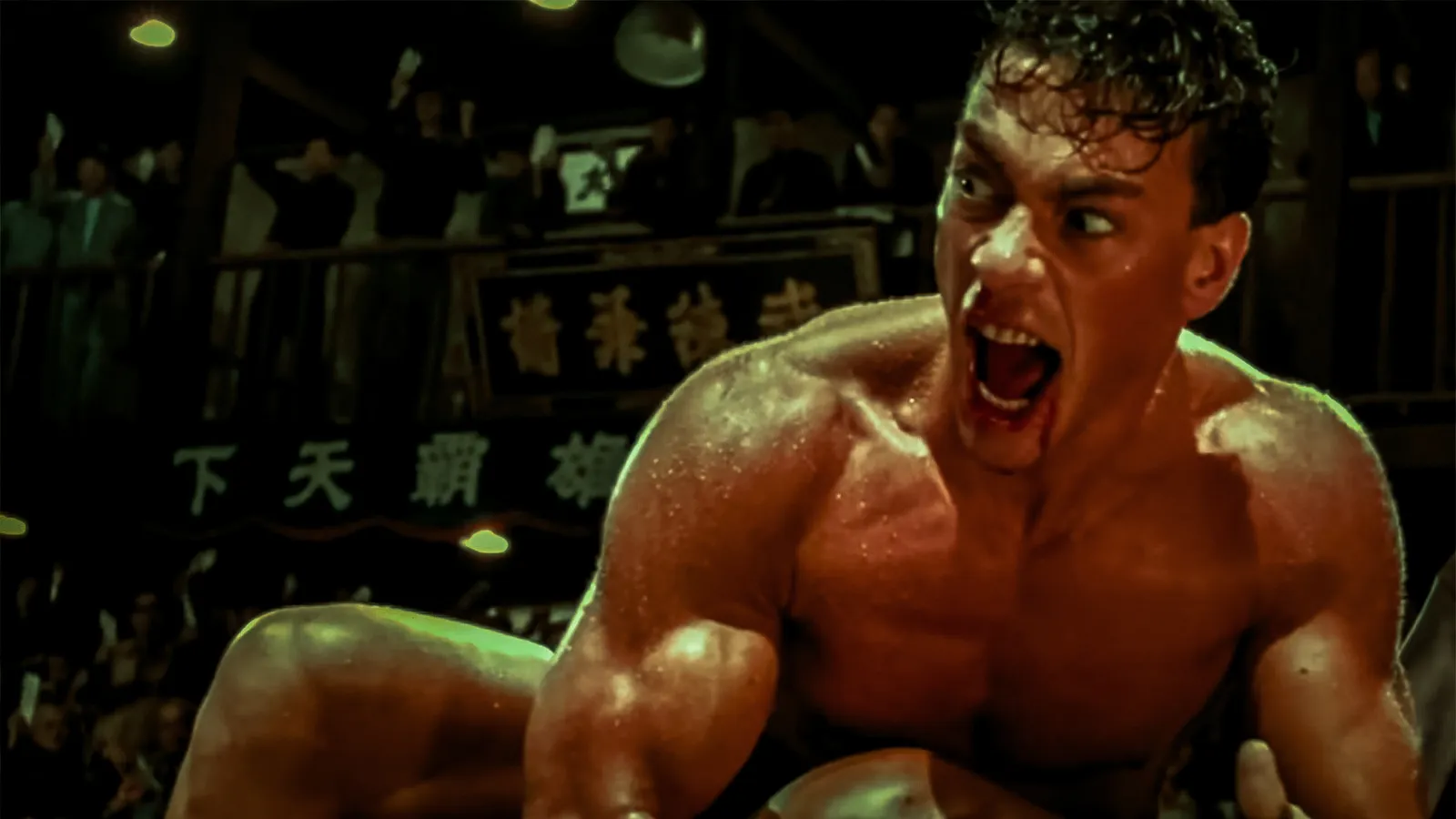 jean-claude can damme