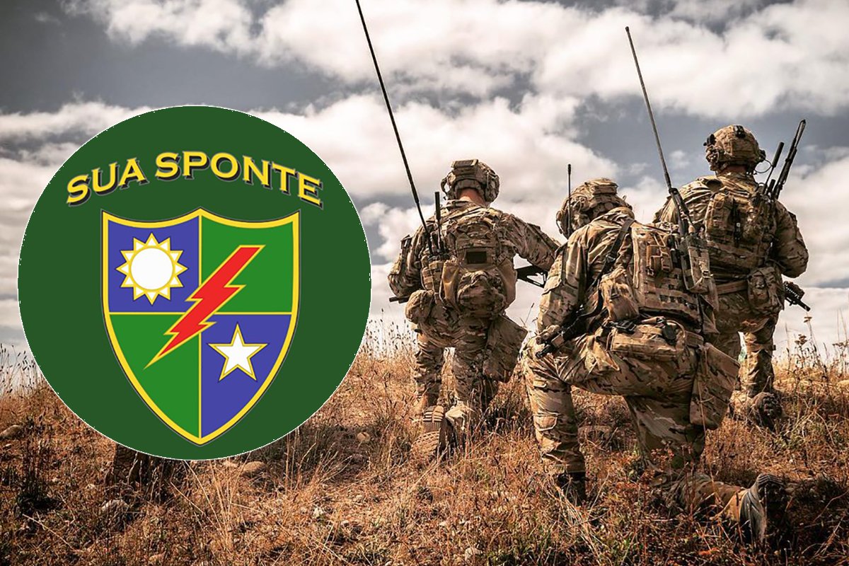 Sua Sponte