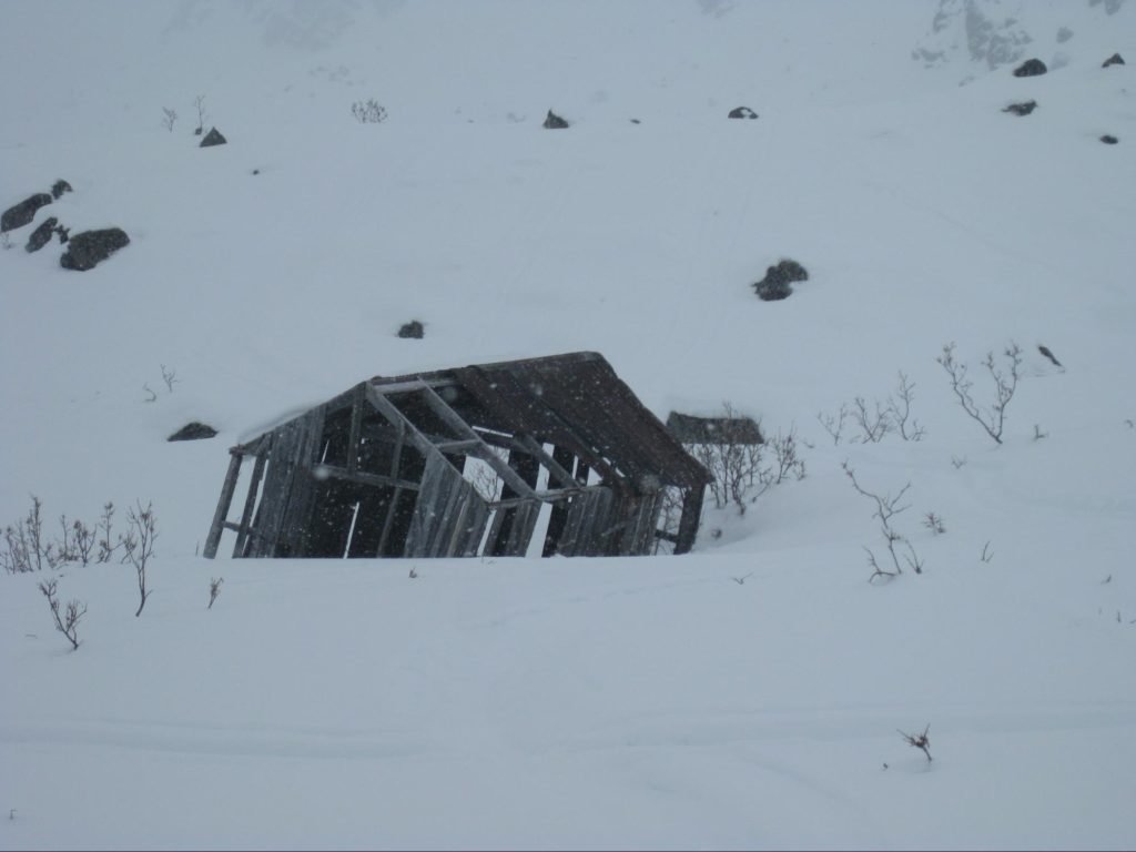 snowshoe alaska
