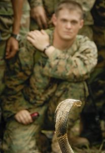 US Marines watch Parsansai's dance with the cobra.
