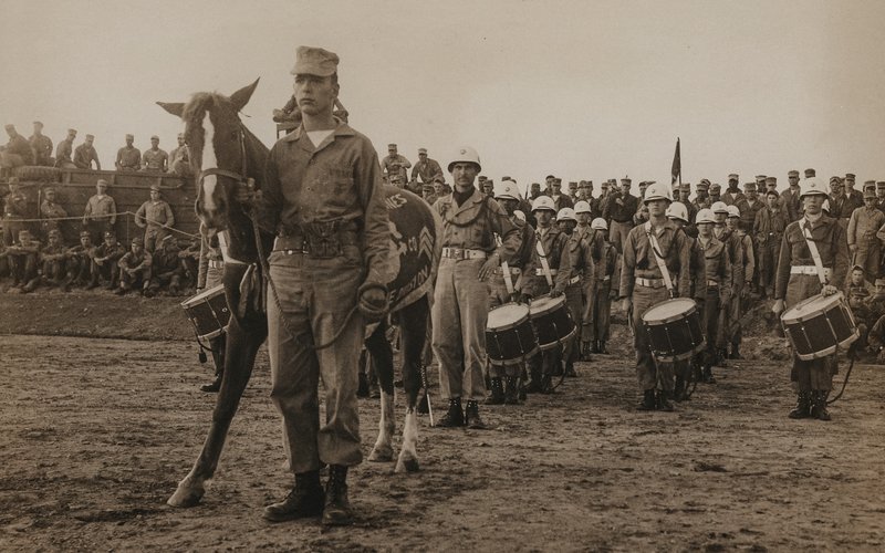 Sgt. Reckless