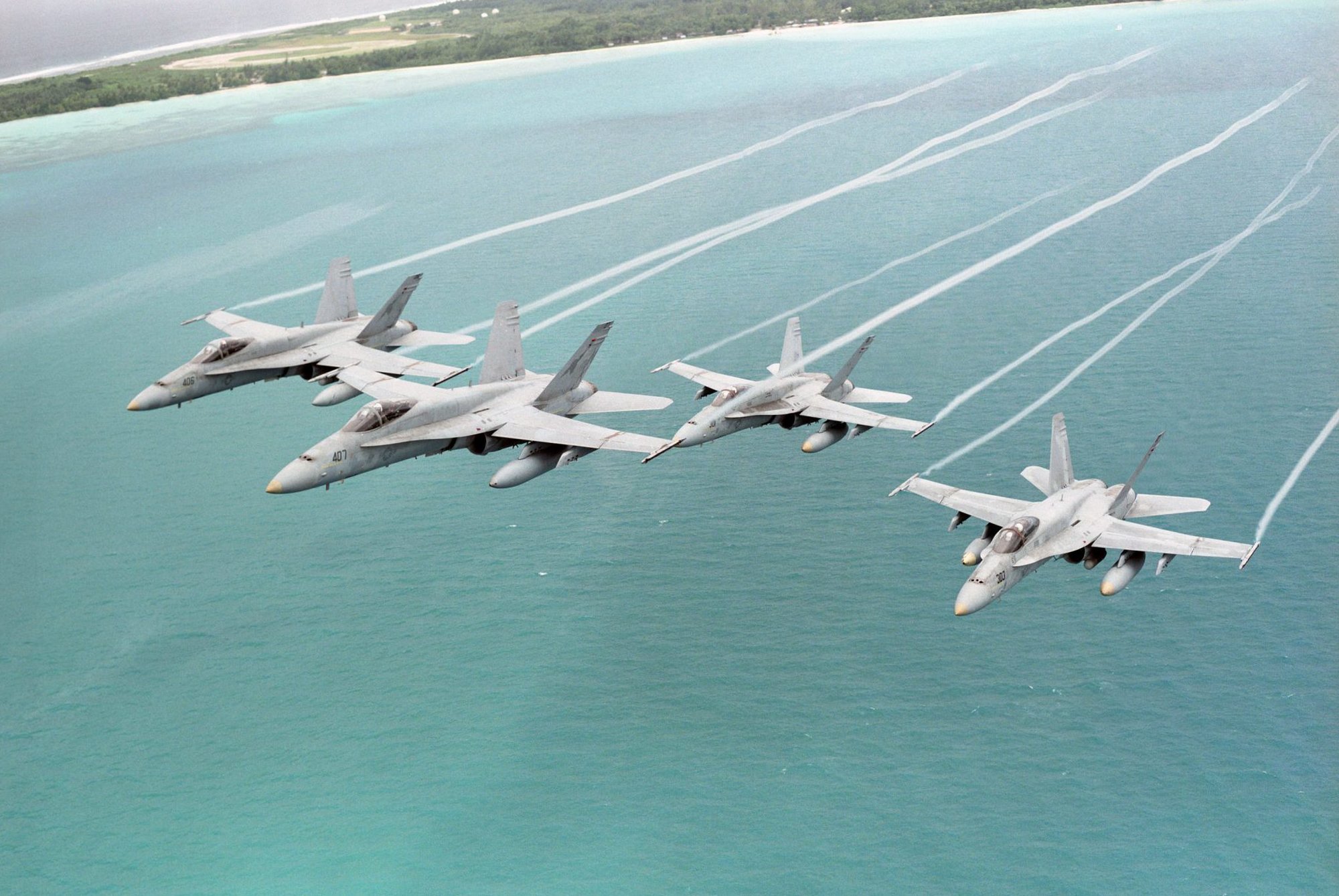 Hornets