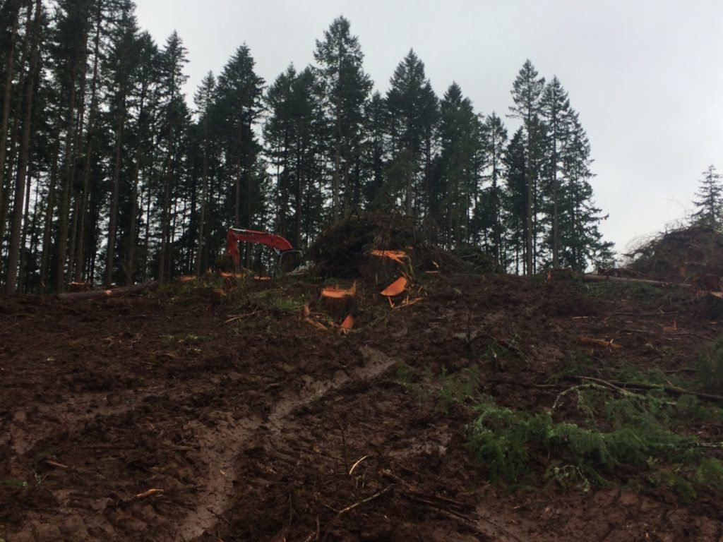 logging ranch