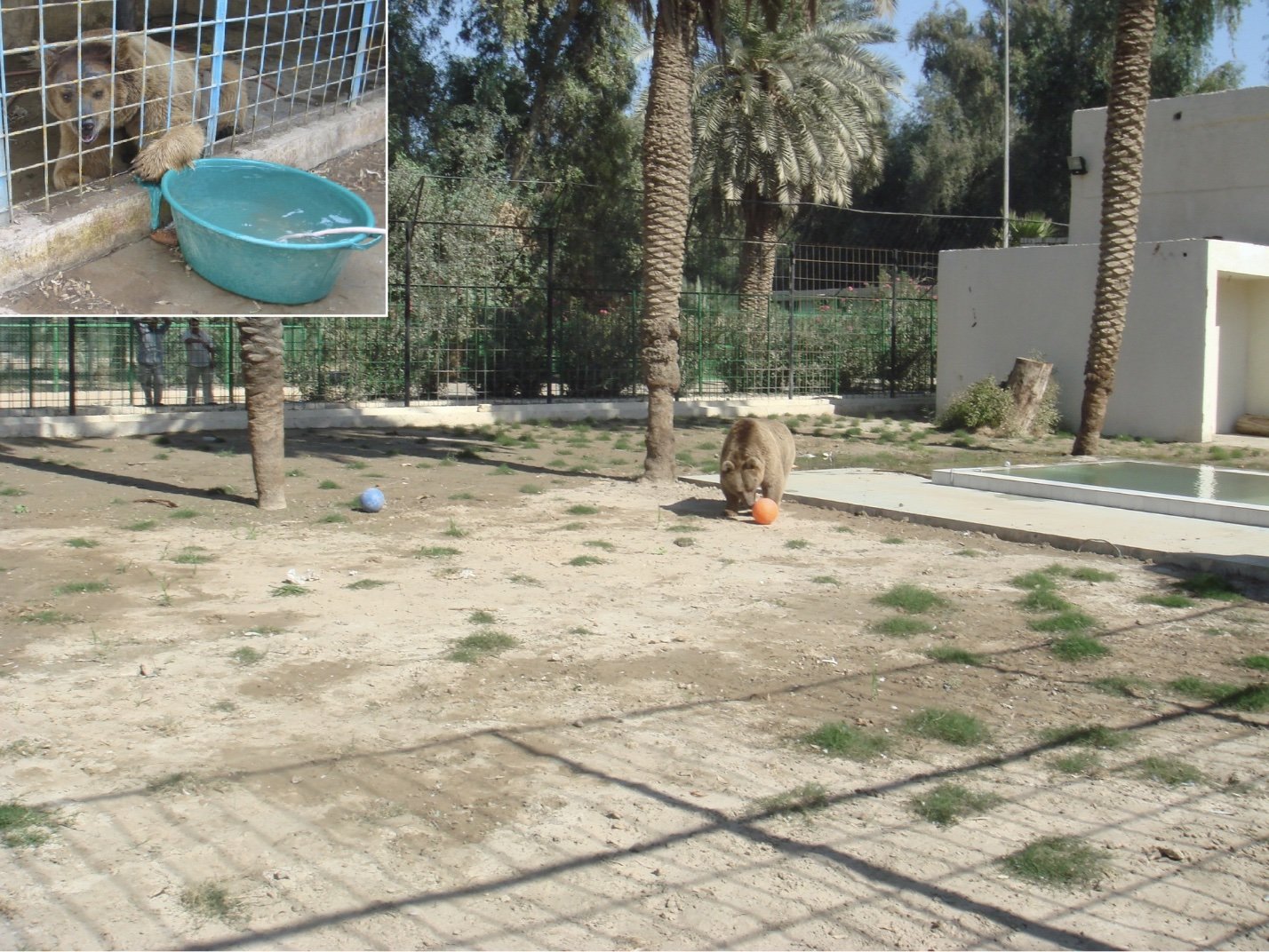 Zoo Iraq