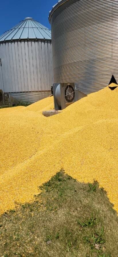 Drowning in Corn Kernels