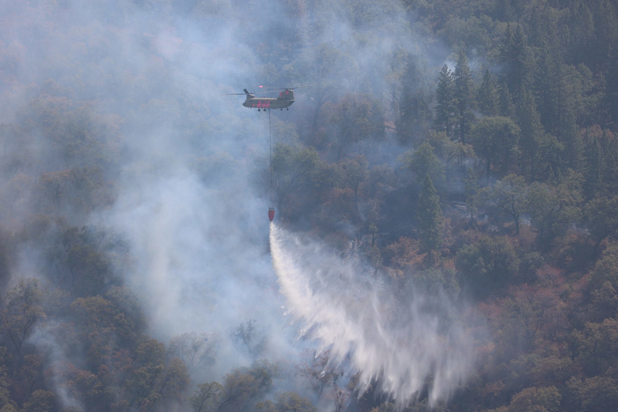 firefighter aircraft