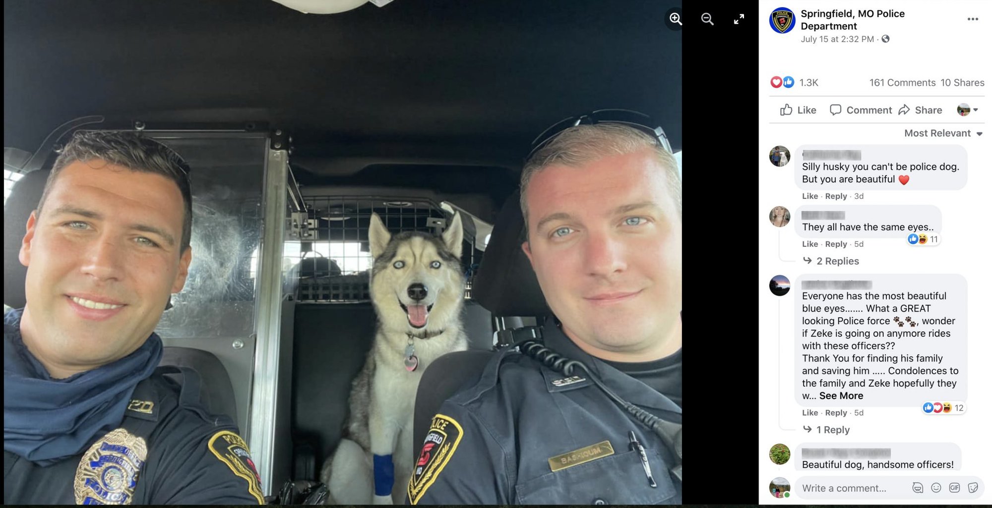 Cops save hot dog