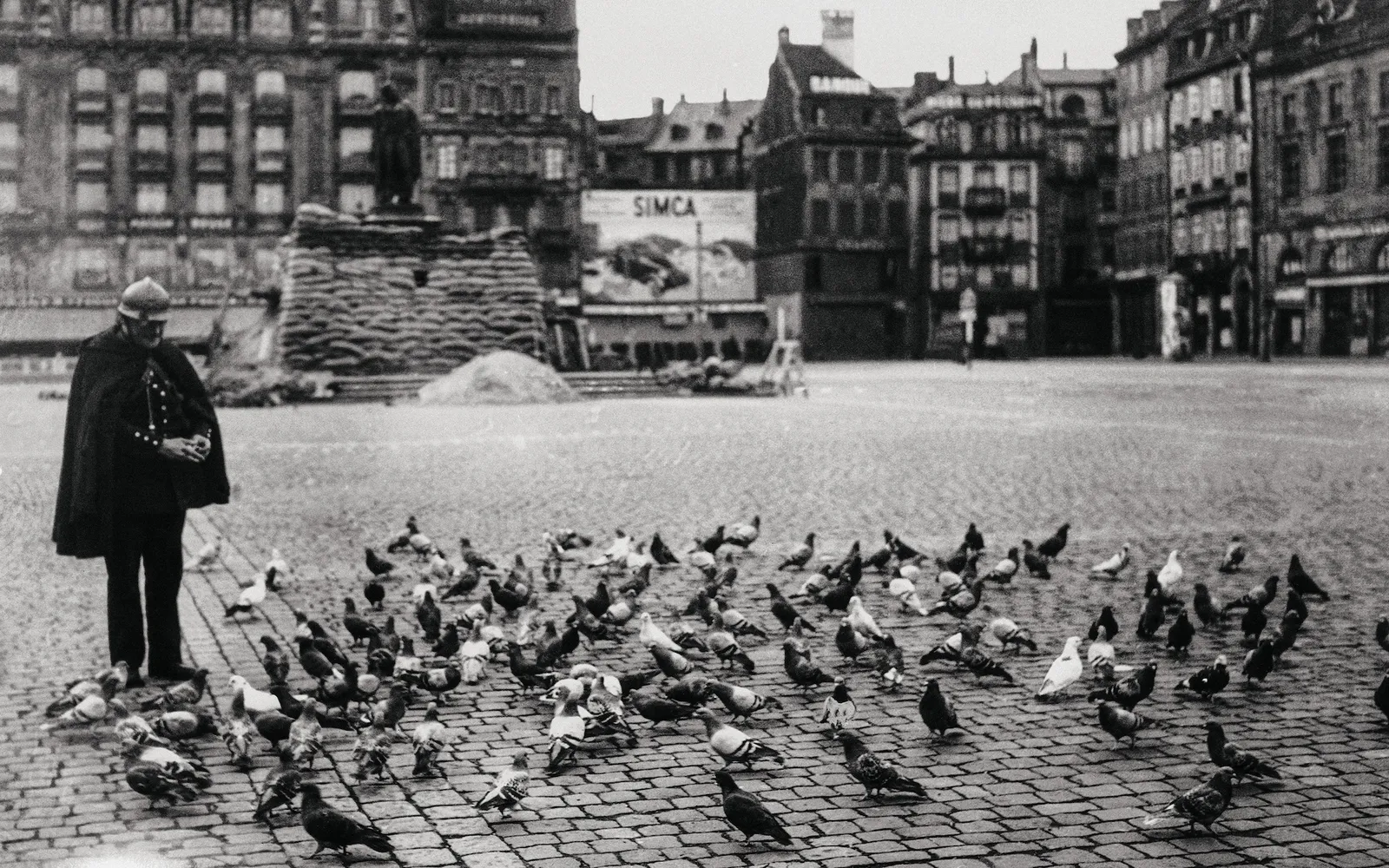 Project Pigeon