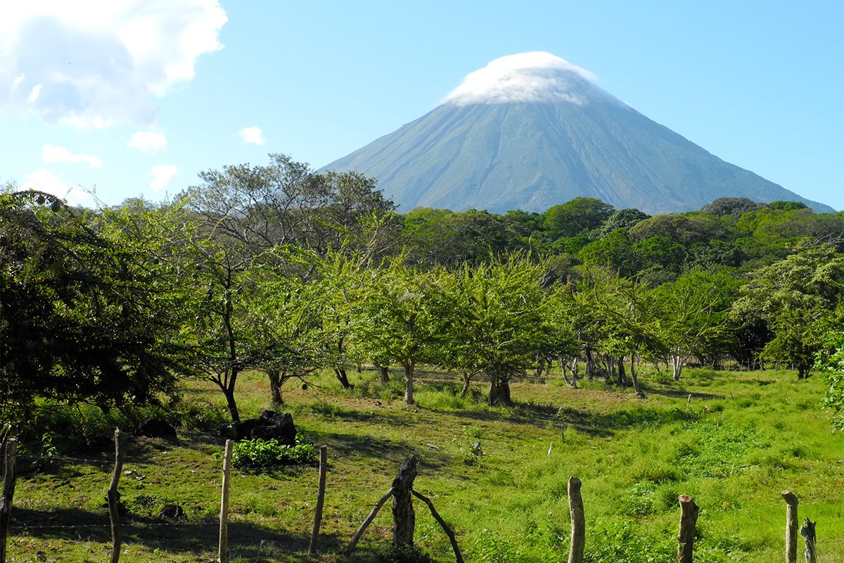 Nicaragua Coffee