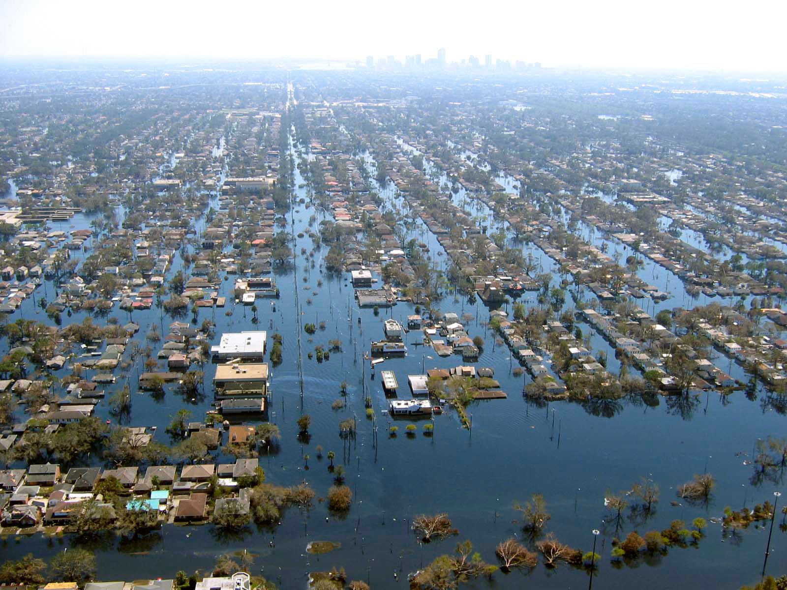 Cajun Navy Hurricane Katrina coffee or die 