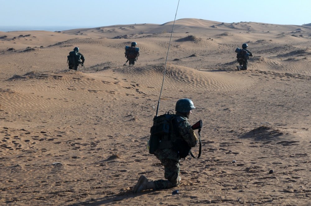 Afghan Taliban cease-fire 